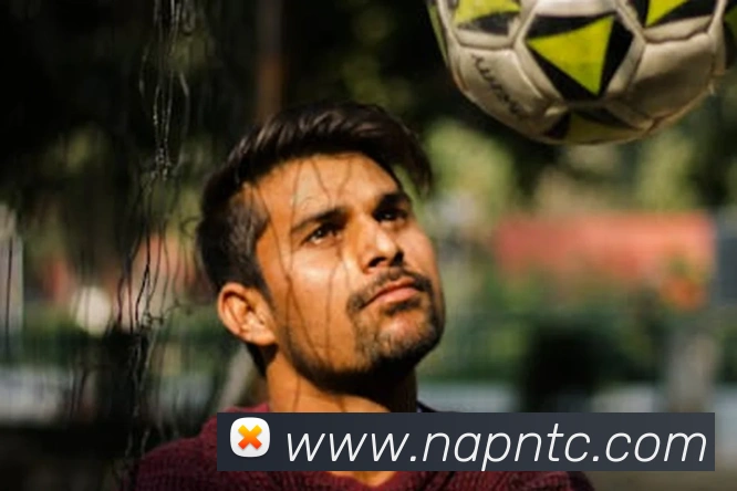 多媒体互动体验